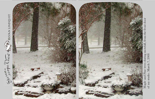 Evan Lindquist artist-printmaker, stereo view, snow and maple trees
