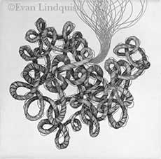 Evan Lindquist artist-printmaker, Thought, line engraving on copper plate